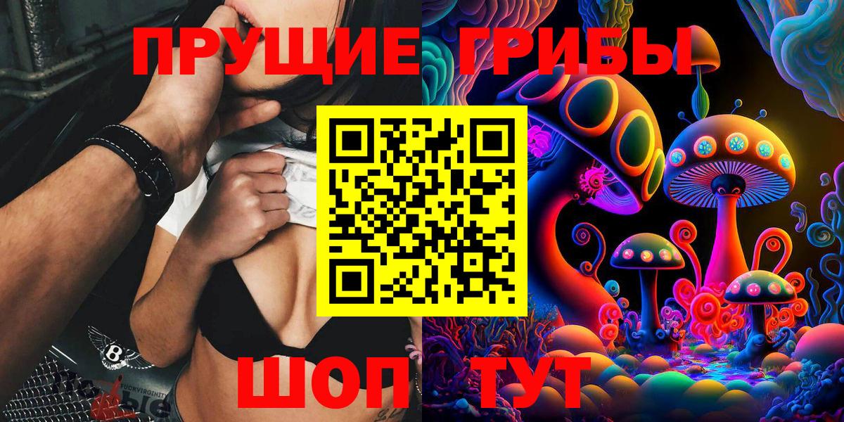 Псилоцибиновые грибы Cubensis Киселёвск