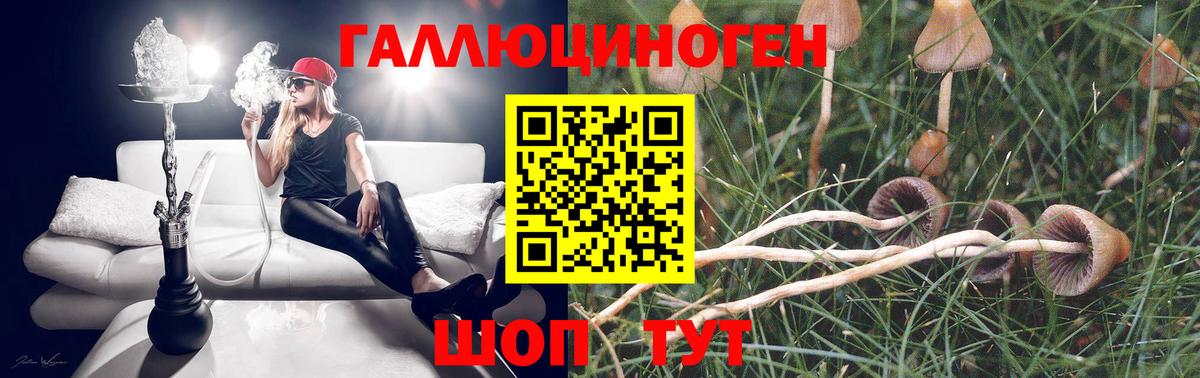 Киселёвск  Галлюциногенные грибы Psilocybine cubensis  Вход с VPN  купить наркотики сайты  Псилоцибиновые грибы ЛСД 