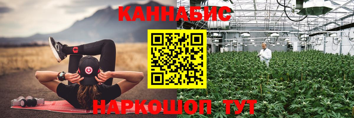 Каннабис индика Киселёвск